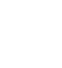 Farmafiori Logo